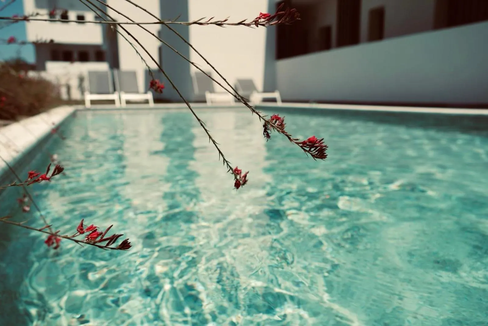 Flaneur Apartment Kallithea  Greece